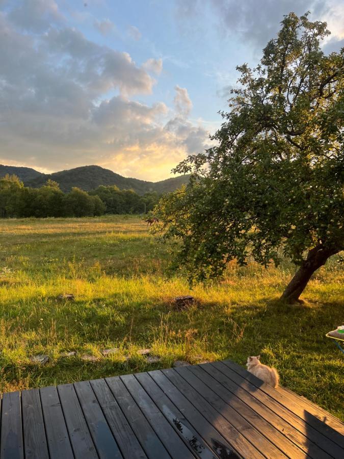 Blackcherry_Ukraine Villa Chereshenka Dış mekan fotoğraf